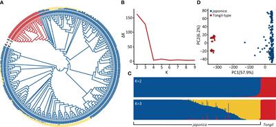 GWAS analysis reveals the genetic basis of blast resistance associated with heading date in rice